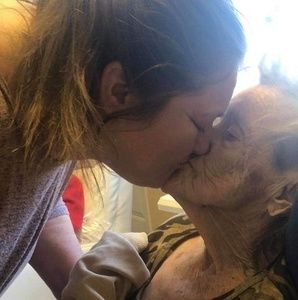 Meet your Posher, Connie